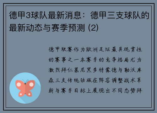 德甲3球队最新消息：德甲三支球队的最新动态与赛季预测 (2)