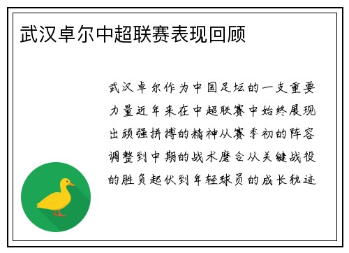 武汉卓尔中超联赛表现回顾