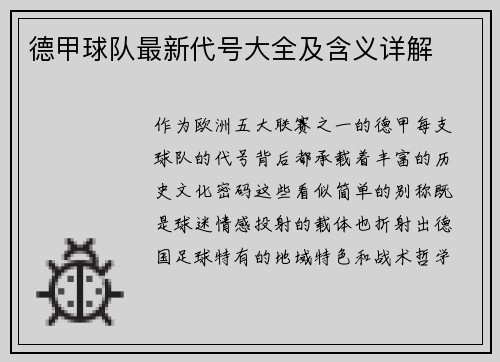 德甲球队最新代号大全及含义详解